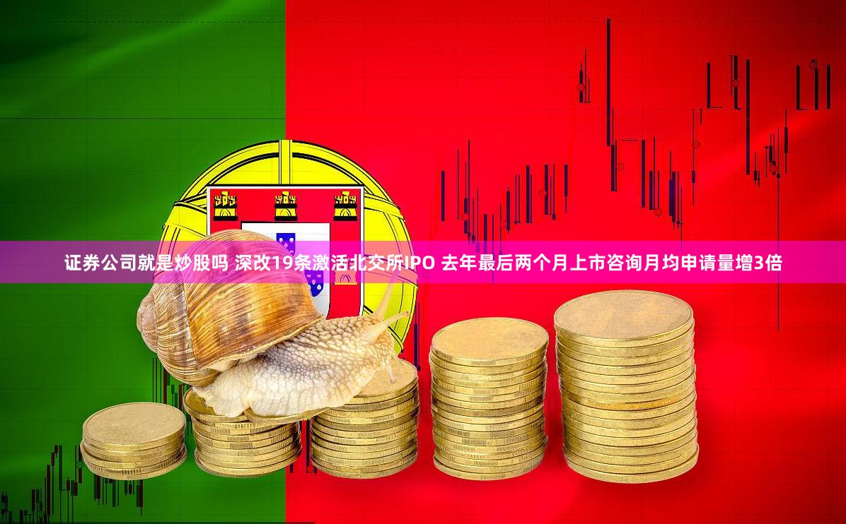 证券公司就是炒股吗 深改19条激活北交所IPO 去年最后两个月上市咨询月均申请量增3倍