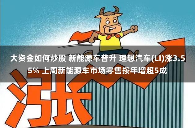 大资金如何炒股 新能源车普升 理想汽车(LI)涨3.55% 上周新能源车市场零售按年增超5成