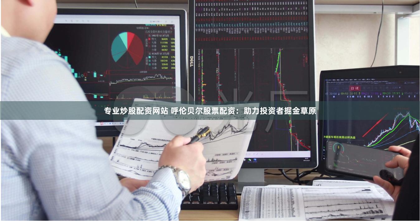 专业炒股配资网站 呼伦贝尔股票配资：助力投资者掘金草原