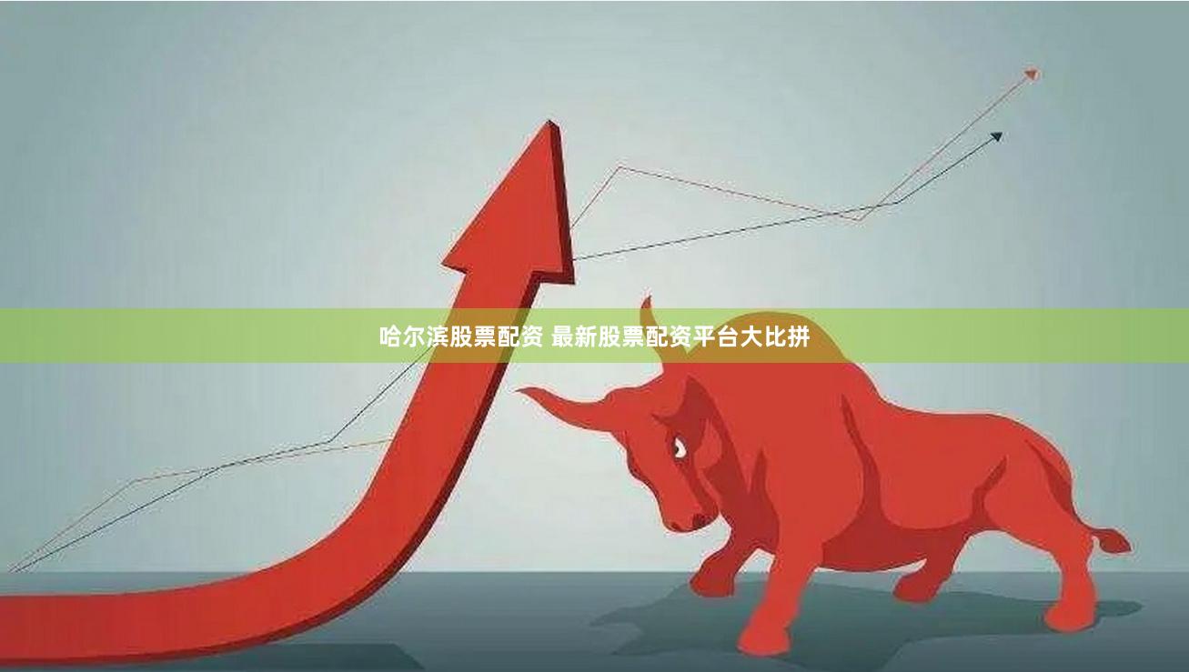 哈尔滨股票配资 最新股票配资平台大比拼