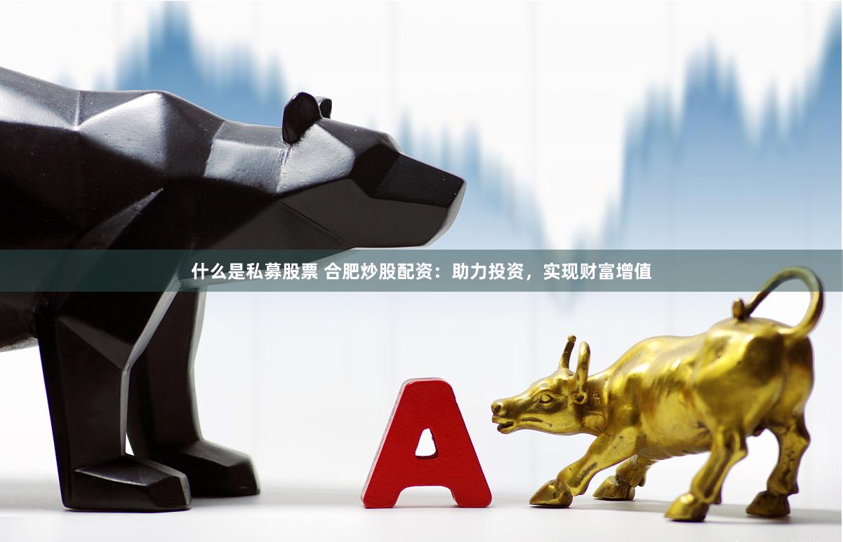 什么是私募股票 合肥炒股配资：助力投资，实现财富增值